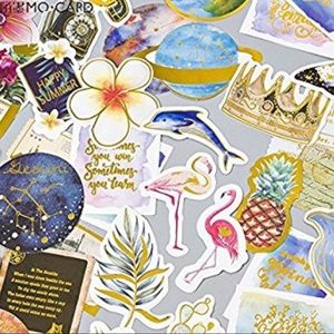 Meet your Posher, Cassie